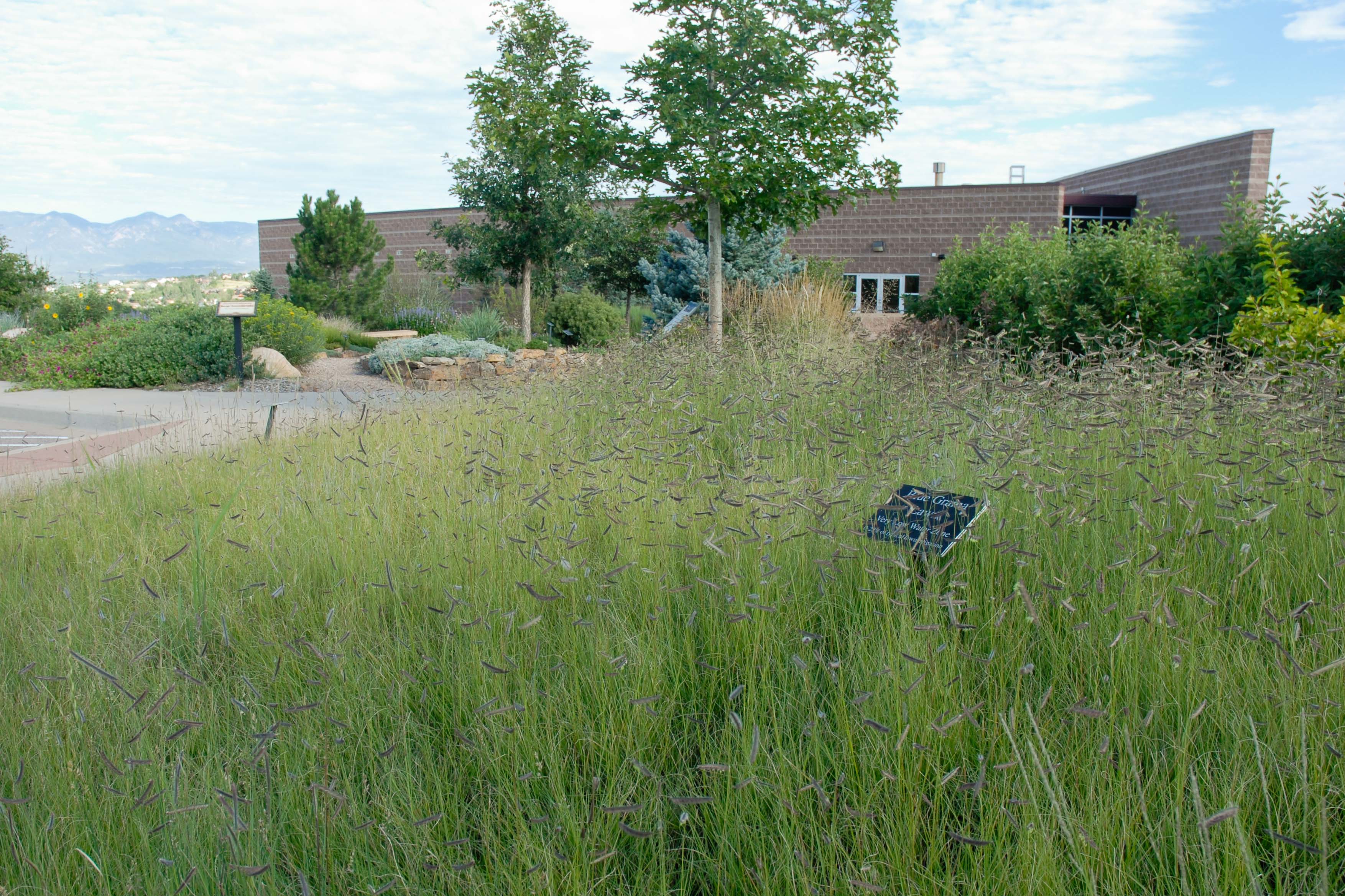 Cottonwood Creek Garden